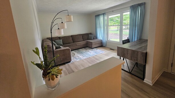 Un salon avec un canapé, une table à manger, une plante et une fenêtre avec des rideaux.