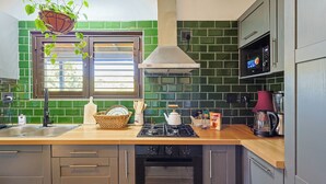 Une cuisine avec des carreaux verts, une fenêtre avec des stores, une plante suspendue, une cuisinière et un four à micro-ondes.