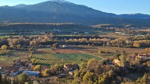 A mountainous landscape with vineyards and houses.