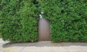Exterior detail - Beautiful Spanish-style Oasis in Mid-City (Los Angeles)