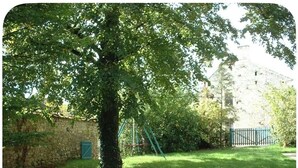 Un bâtiment en pierre avec une porte verte, un arbre au premier plan et une zone herbeuse.