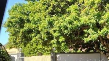Apartment, 1 Bedroom, Accessible, Fireplace | Garden