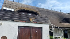 Uklassifisert bilde, 2 av 17, knapp