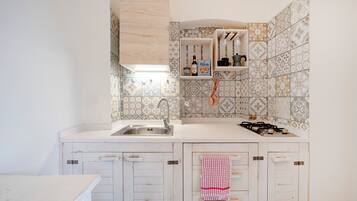 Fridge, stovetop, cookware/dishes/utensils, spices
