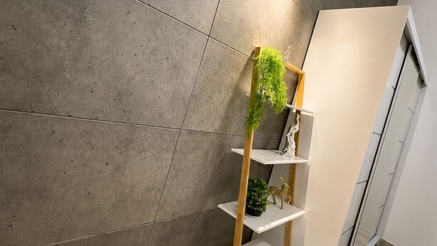 Ein modernes Interieur mit einer Betonwand, einem Holzregal mit Pflanzen und einem weißen Schrank.