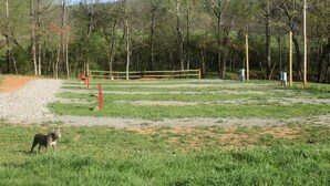 A fenced outdoor area with a gravel path leading to a wooden gate, surrounded by trees and grassy terrain.