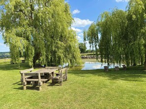 Ein Picknicktisch unter einer Weide am See.