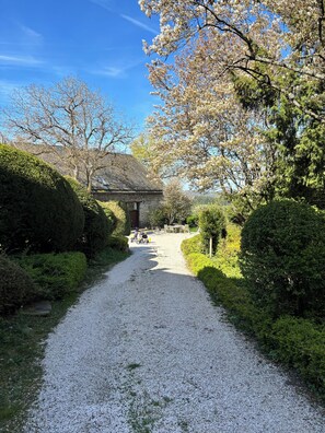 A gravel path leading to a building with a traditional roof, surrounded by lush greenery and flowering trees. - Charming hideaway - nature, wine and sunsets (Traben-Trarbach)