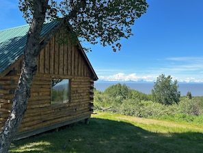 Ulkopuoli