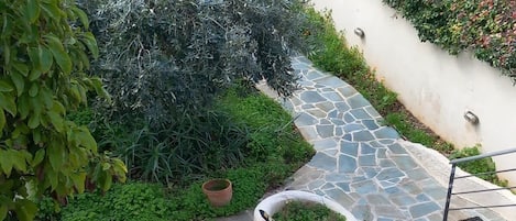 المنطقة المحيطة بالمنشأة