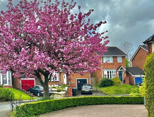 Detached 3-bedroom house with garage and garden.