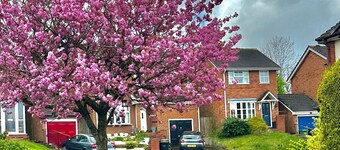 Detached 3-bedroom house with garage and garden.