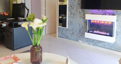 jim villa2 family apartment wi-fi 500 starling we accept pets