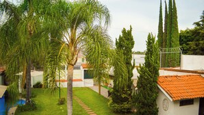 Un patio con una palmera, un sendero y un edificio de techo con tejas.