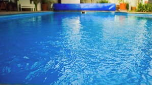 Vista despejada de una piscina con borde azul, rodeada de plantas en macetas y un muro blanco.