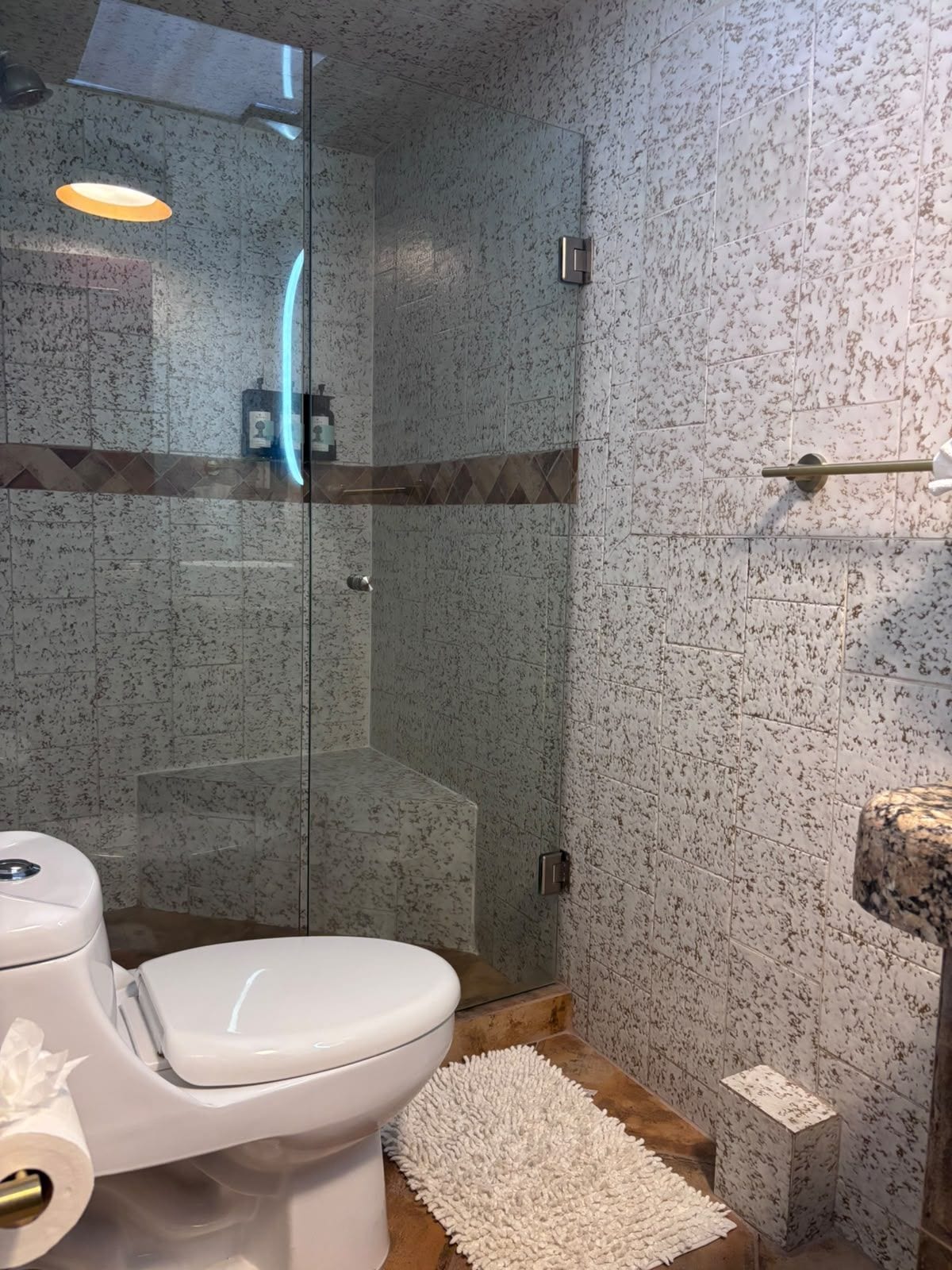 A bathroom with a glass-enclosed shower, a toilet, and a white rug on the floor.