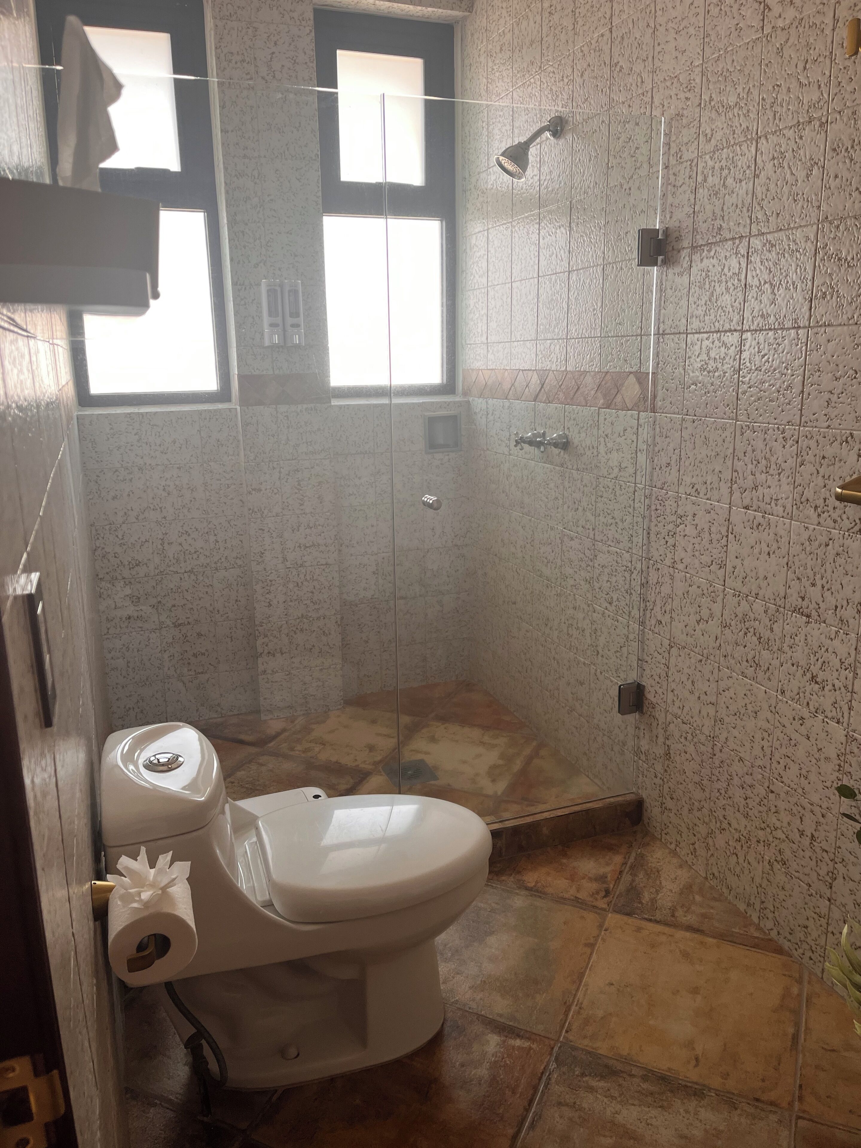Casa de banho com sanita, chuveiro e janela.