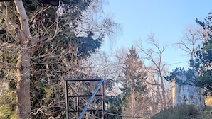 Een stenen trap die leidt naar een overdekt gebied, omringd door bomen en een stenen muur.