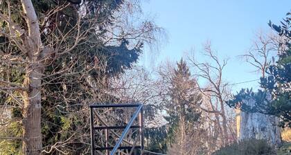 Baita Carlito - Quiet and sunny setting overlooking the forest