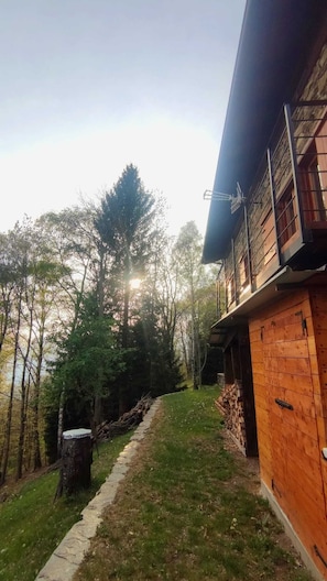 A wooden cabin with a stone pathway leading to the entrance, surrounded by trees and a clear sky.