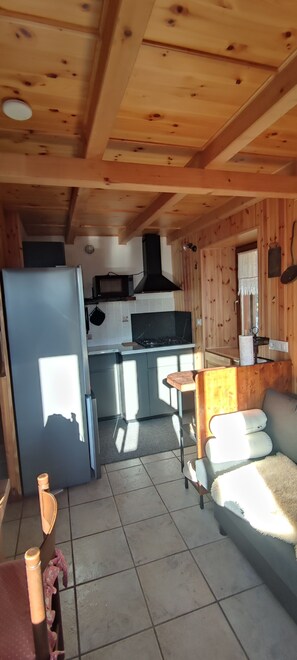 Smart TV, fireplace, DVD player, books