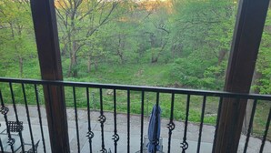 A balcony with a view of a forested area. - Forested 3/BR-Bth, patio & Lanai, movie & billiards rms, chef's kitchen,close by (Bellevue)