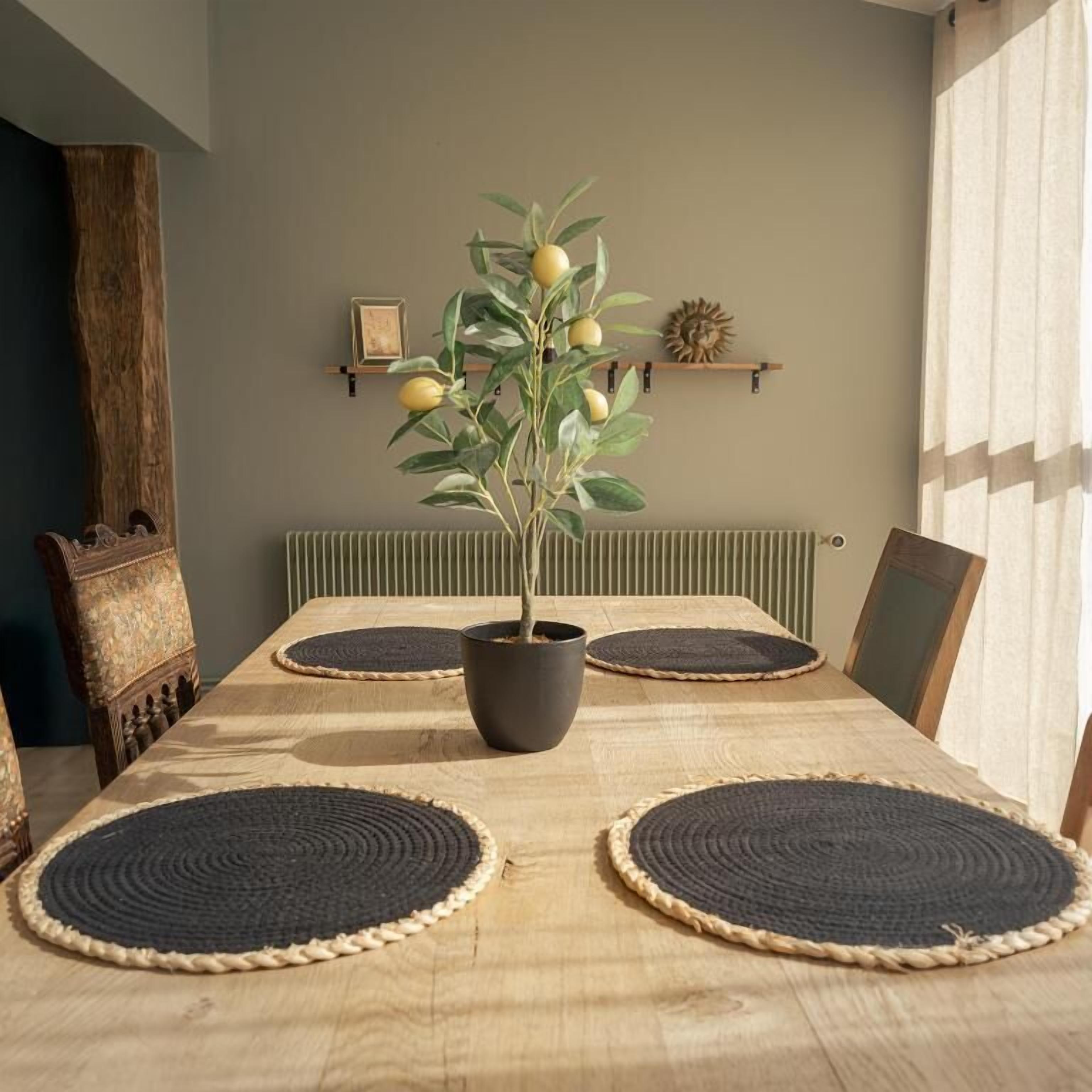 A dining table with a potted plant, two woven placemats, and a wooden chair.