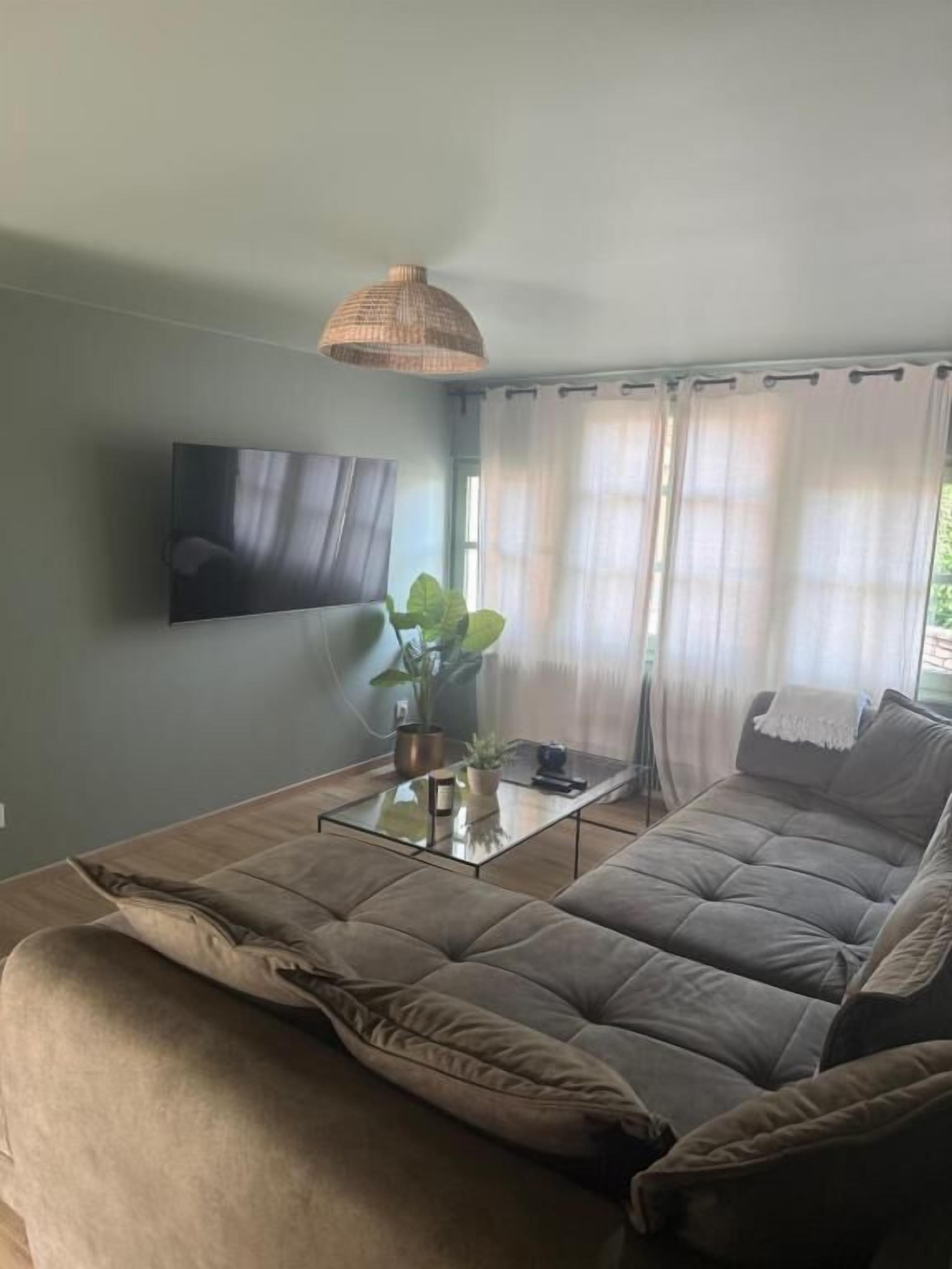 Un salon avec un canap é, une table basse, un téléviseur et une plante.