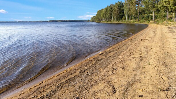 Une plage à l’eau claire, un rivage sablonneux et une zone boisée en arrière-plan.