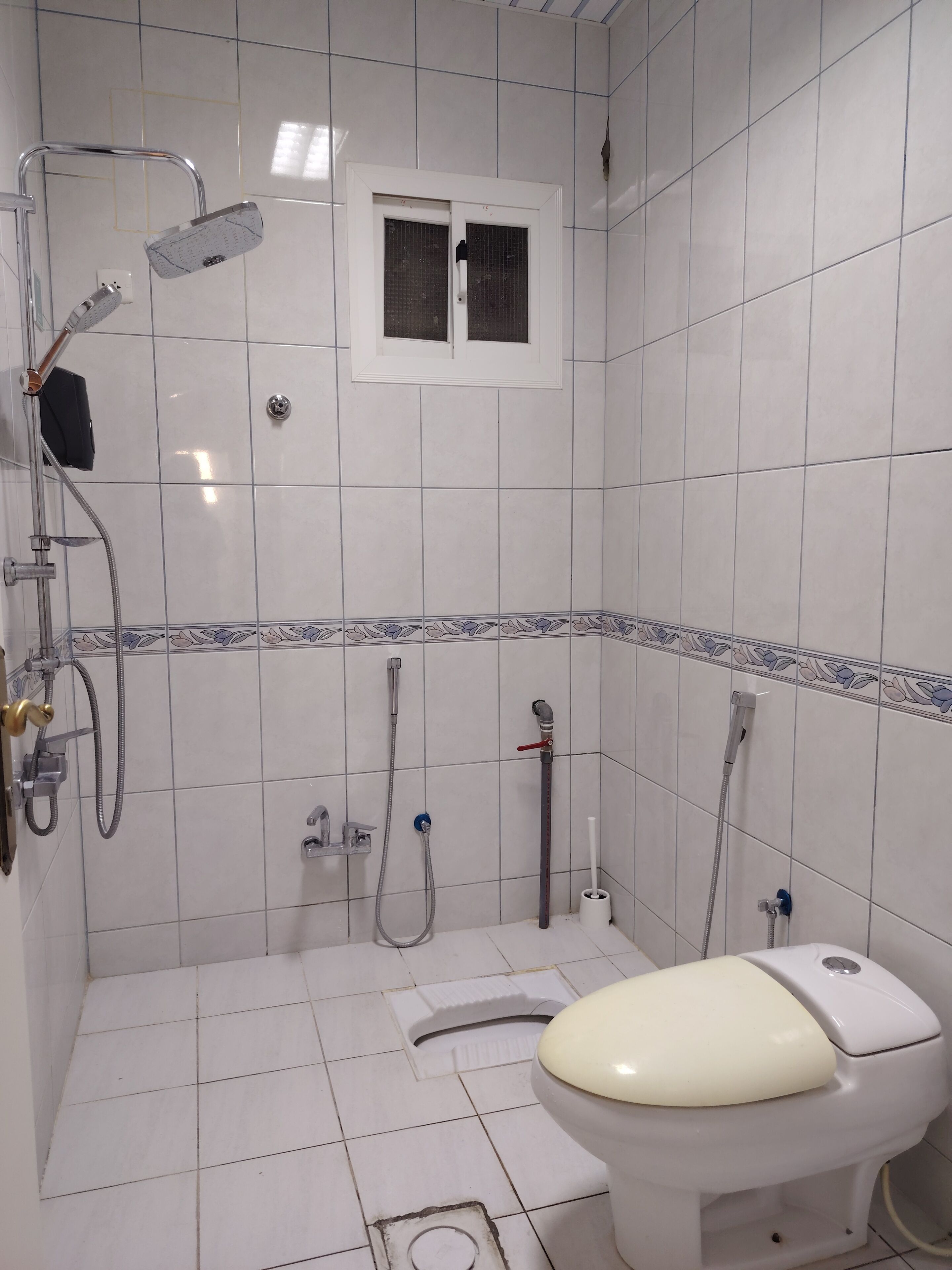 Hair dryer, soap, shampoo, toilet paper