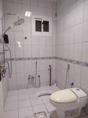 Hair dryer, soap, shampoo, toilet paper