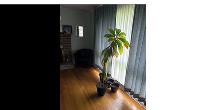 Peaceful 1-bedroom apartment with AC in charming Coraopolis