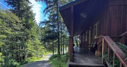 Serene cabin in beautiful Thorne Bay, perfect for relaxing