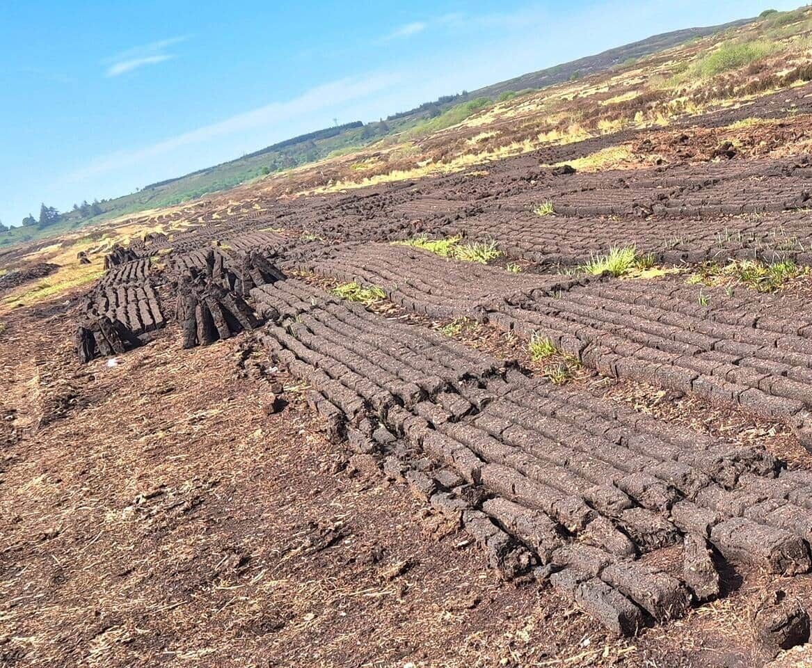 Un paysage aride et craquelé, parsemé de grands blocs de pierre rectangulaires disposés selon un motif.