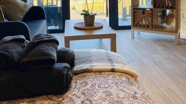 Quarto de sótão com sofá, televisão, uma pequena mesa com uma planta e vista para o exterior.