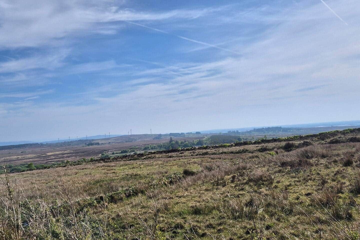 A hilly landscape with wind turbines in the distance.