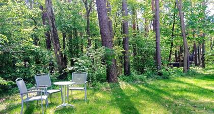 Forest and well-being. Time out in Brandenburg. Nature! Recreation and activities