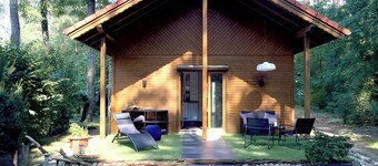 Forest and well-being. Time out in Brandenburg. Nature! Recreation and activities