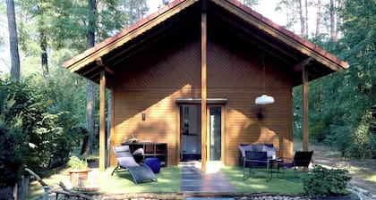 Forest and well-being. Time out in Brandenburg. Nature! Recreation and activities