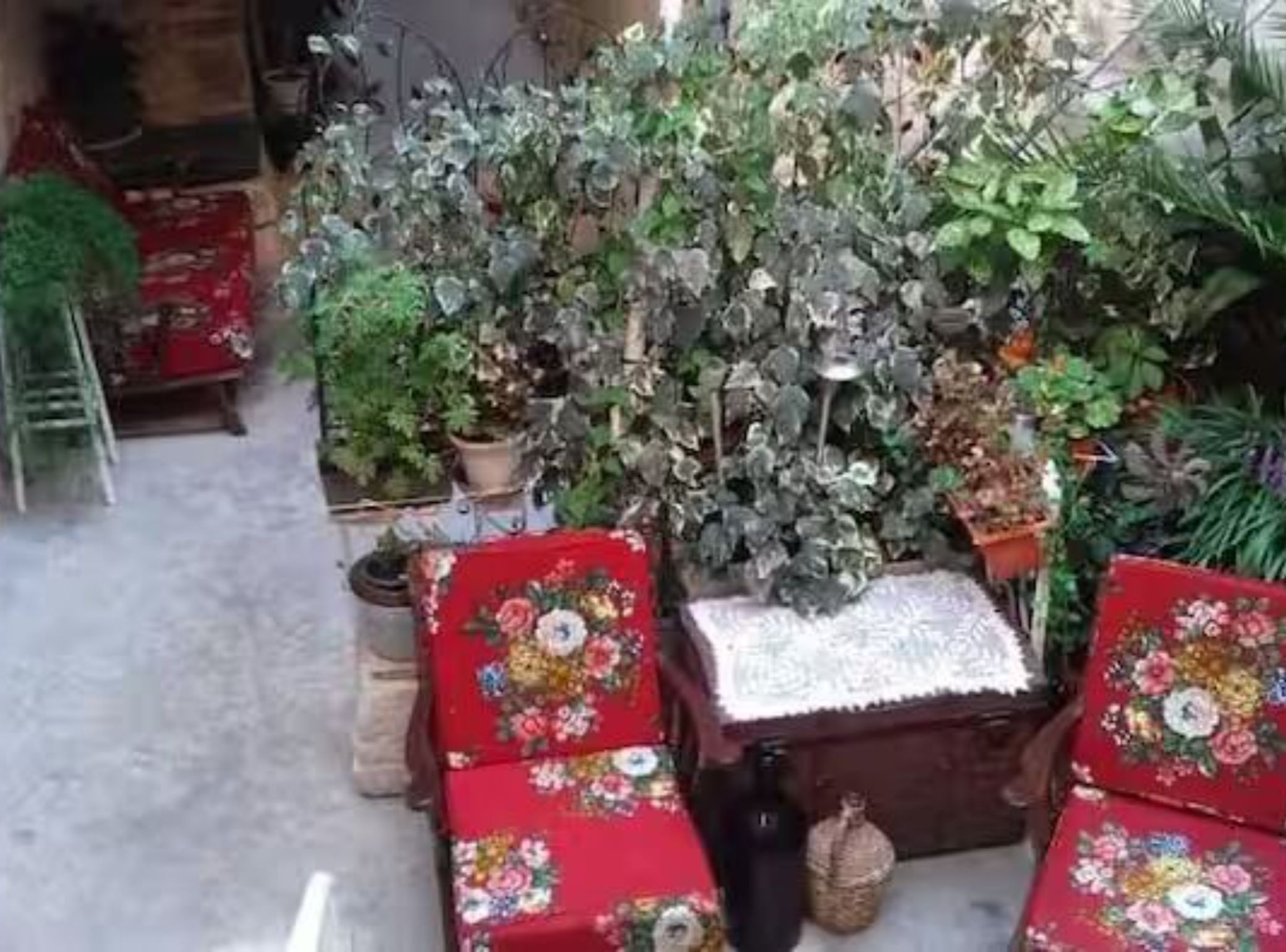 Departamento (apartman) | Terraza o patio