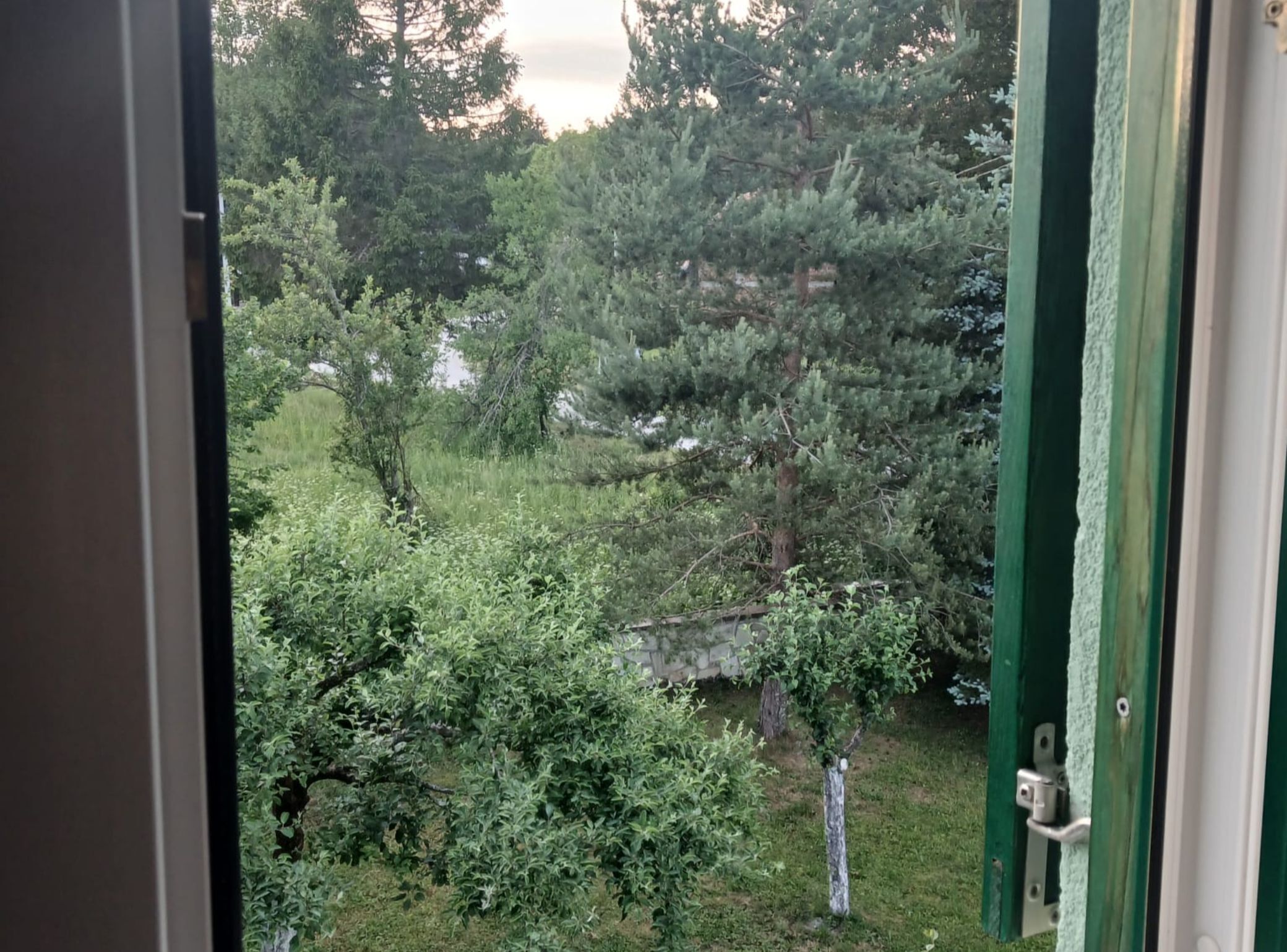 A view through a door of a garden with trees and a stone wall.