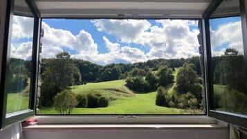 Double Room (Double Room) | 14 bedrooms, free WiFi