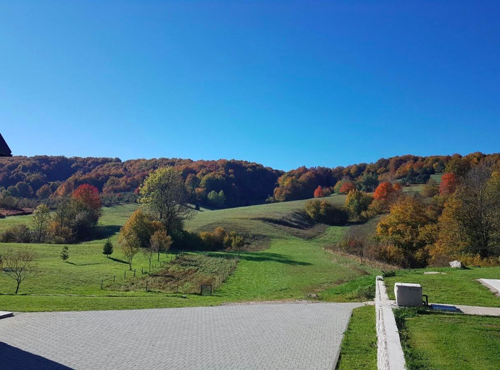 A paved pathway leading to a grassy area with trees and hills in the background.