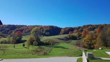 A paved pathway leading to a grassy area with trees and hills in the background.