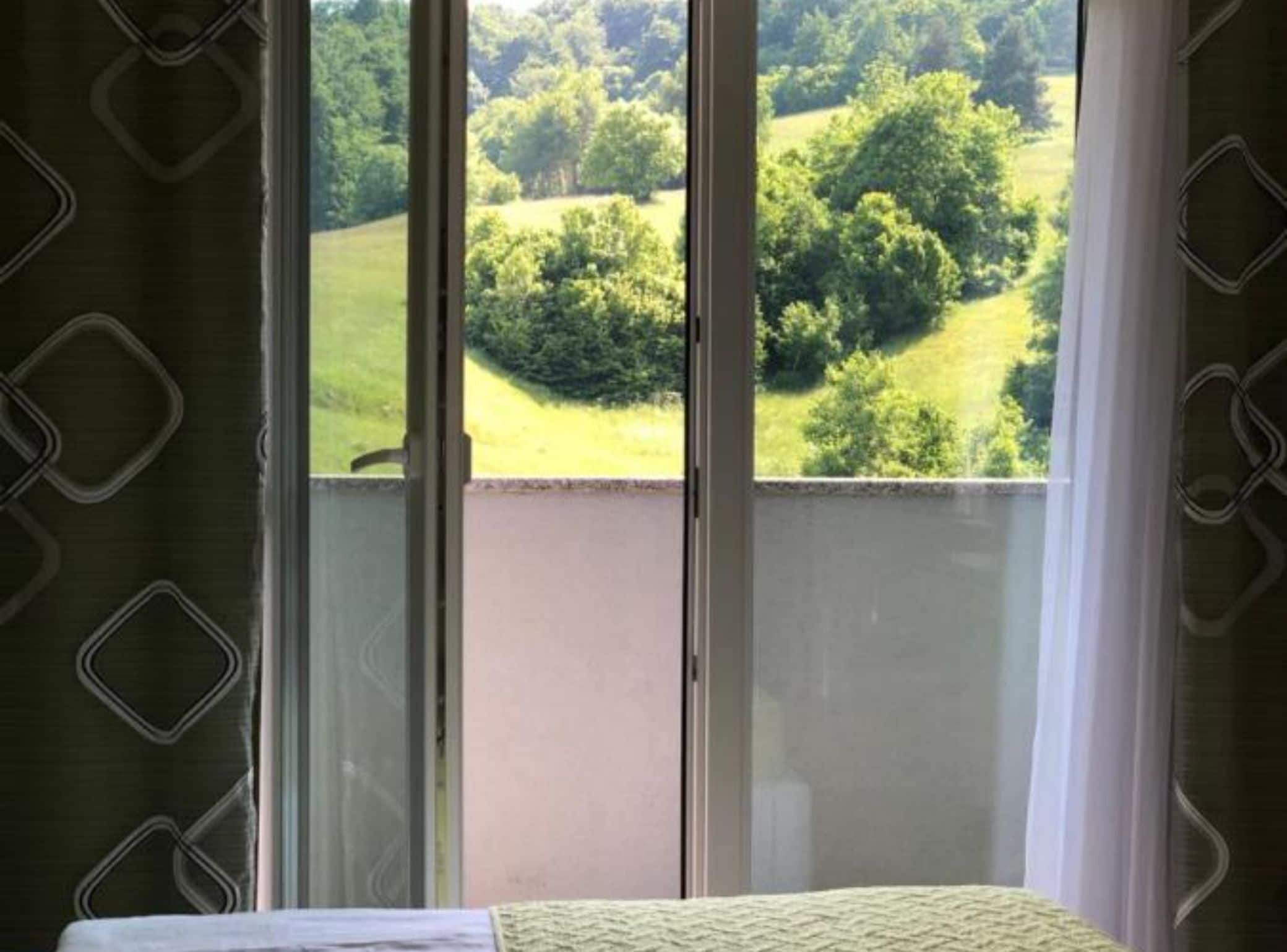 Una habitación con vistas a un paisaje verde a través de una ventana con cortinas.