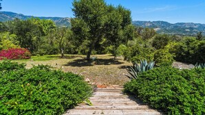 Ein Weg führt durch einen Garten mit verschiedenen Pflanzen und Bäumen zu einer Berglandschaft.