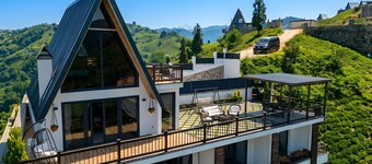 Tam Müstakil Jakuzili Lüks Villa