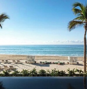 A beach view with palm trees, a pool, and sun loungers.