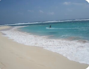 Plage à proximité, chaises longues, serviettes de plage