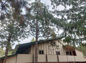 Un bâtiment doté d’un toit plat et d’un grand arbre devant.